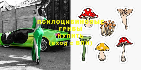 молекула духа Армянск