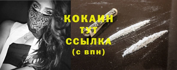 шишки Анжеро-Судженск