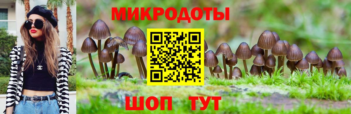 Псилоцибиновые грибы Magic Shrooms  Вход с VPN  Верхняя Салда 